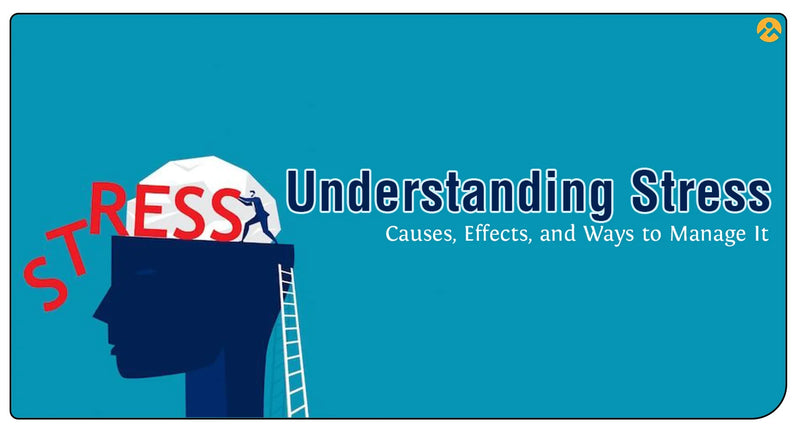 Understanding Stress: Causes, Effects, and Ways to Manage It by iMeMyself