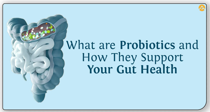 What are Probiotics and How They Support Your Gut Health