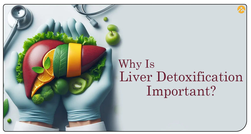 Why Is Liver Detoxification Important by iMeMyself