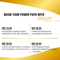 Shilajit Resin with Gold