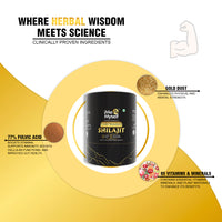 Shilajit Resin with Gold