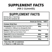 Himalayan Shilajit Gummies
