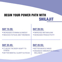 Shilajit Resin