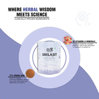 Shilajit Resin