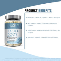Testo Boost