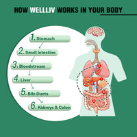 WellLiv