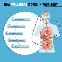 WellSnore
